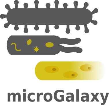 microgalaxy logo