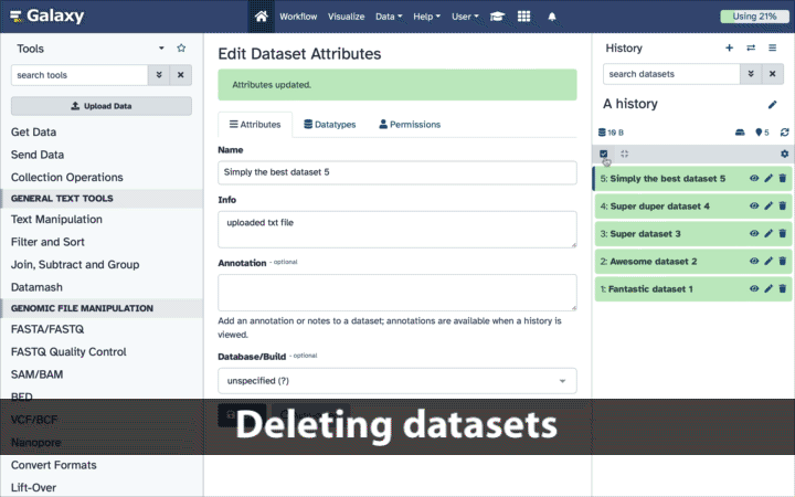 An animated gif showing how to delete datasets