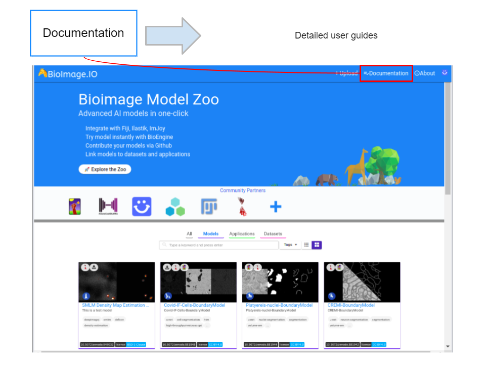 BioImage Model Zoo Documentation