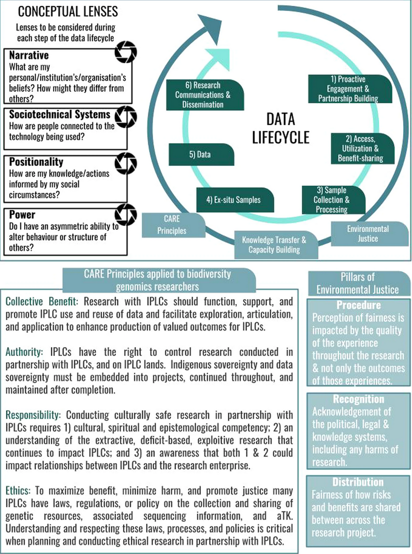 Reflecting on the data lifecycle through four conceptual lenses