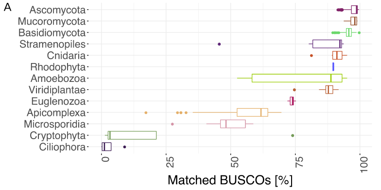 Limitation of BUSCO orthoDB for eukaOrthoDB - part A