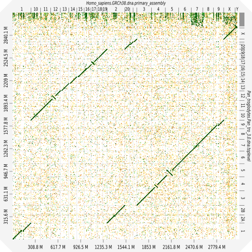 Example of a dot plot between 2 genomes.