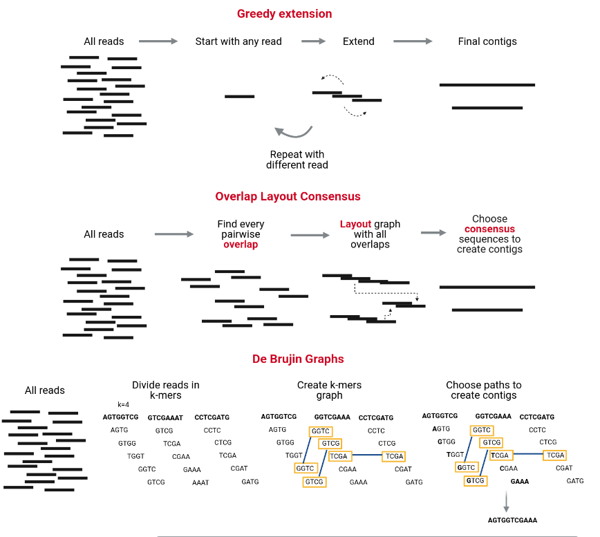 Image shows greedy extention, overlap layout consensus, and de Brujin graphs assembly algorithms. 