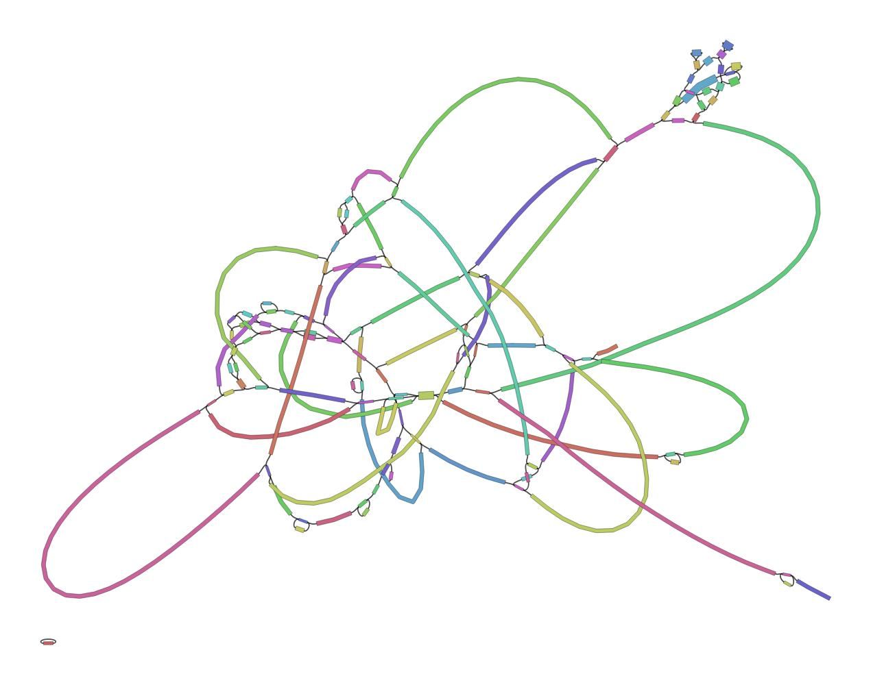Bandage output showing a mess of a genome graph. 