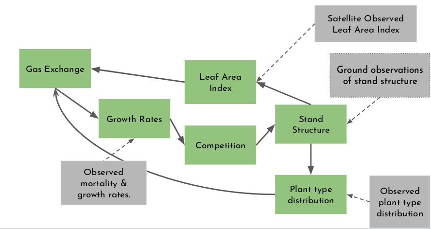 FATES reduced complexity