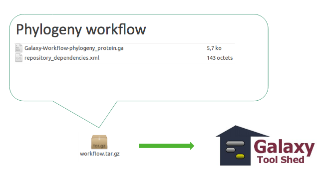 phylogeny workflow is uploaded to the TS