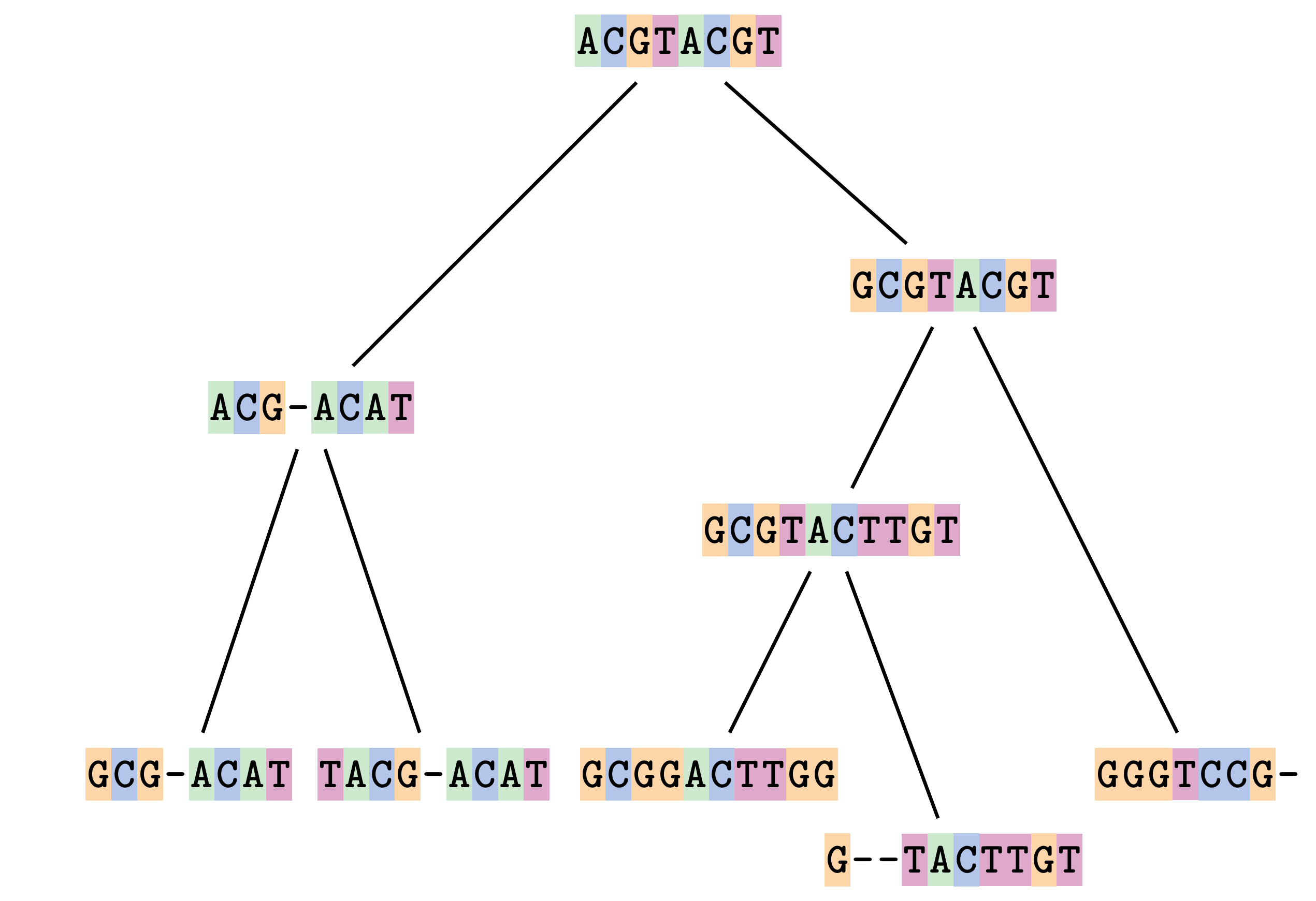 Schematic example of a phylogenetic tree where species are represented by short DNA sequences to demonstrate how sequences evolve on a tree. The tree branches multiple times from a common ancestor to five extant taxa.