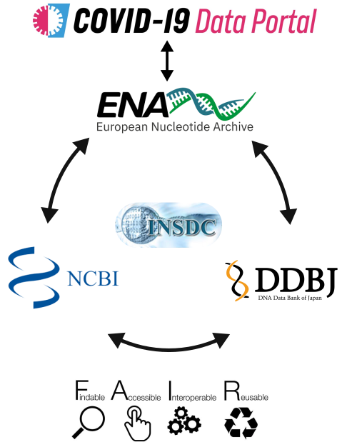 ENA-FAIR