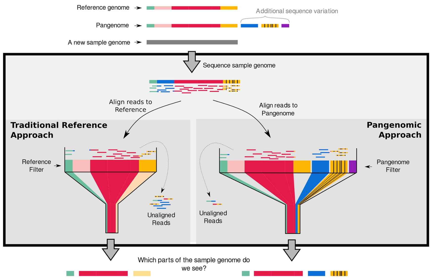Comparison of a pangenome approach with traditional reference approach