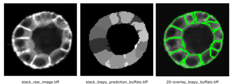 comparison_2D_buffalo.png. 