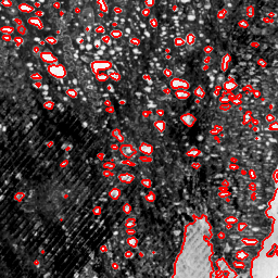 Thermokarst pond segmentation overlay. 