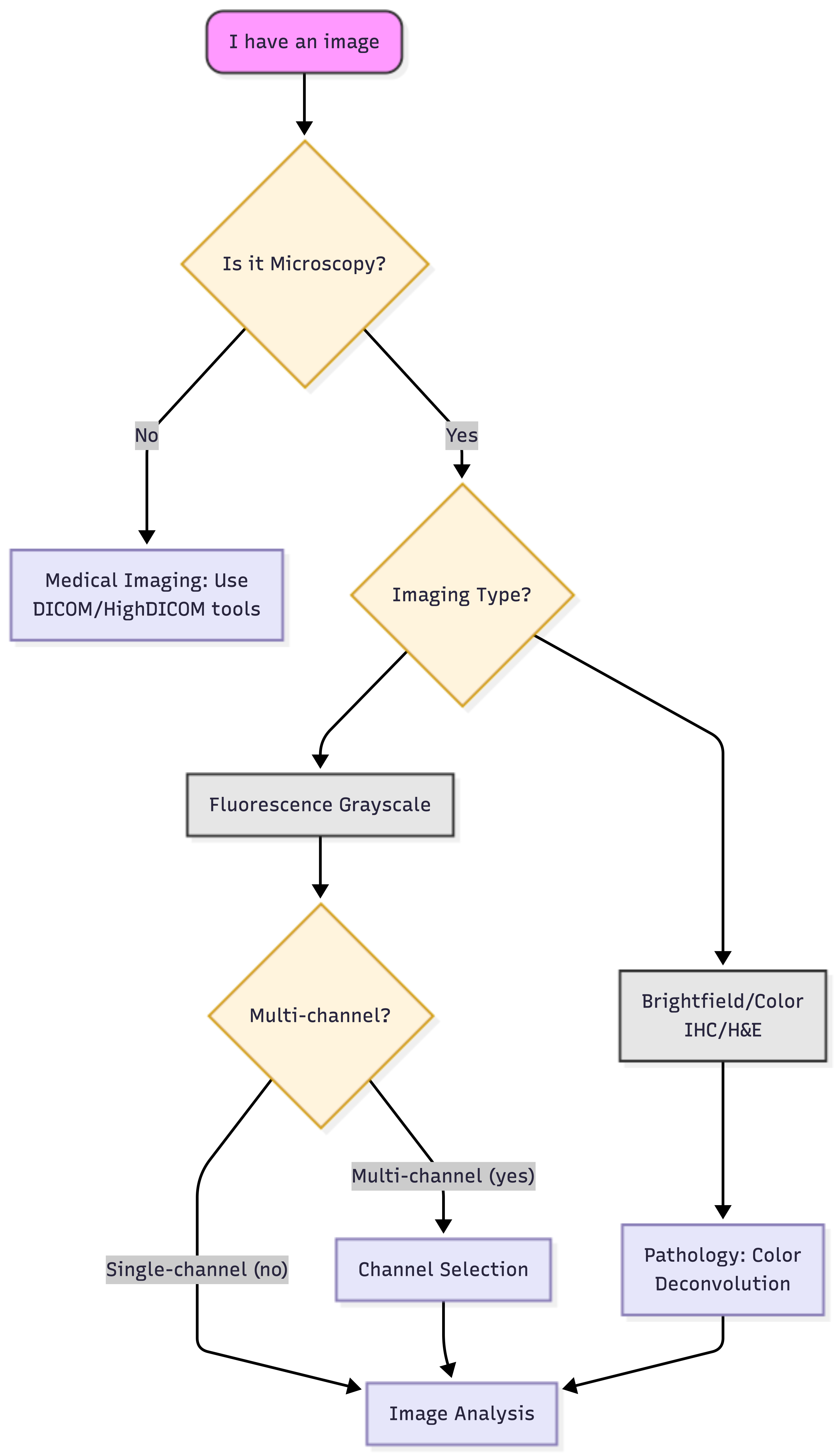 Microscopy imaging workflow decision tree. 