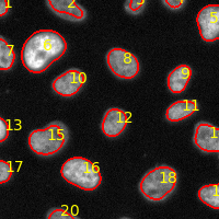 output image from segmentation workflow. 