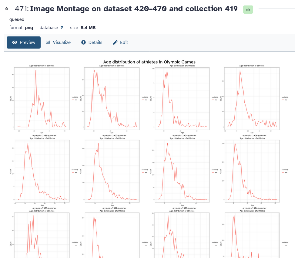 final montage image. 