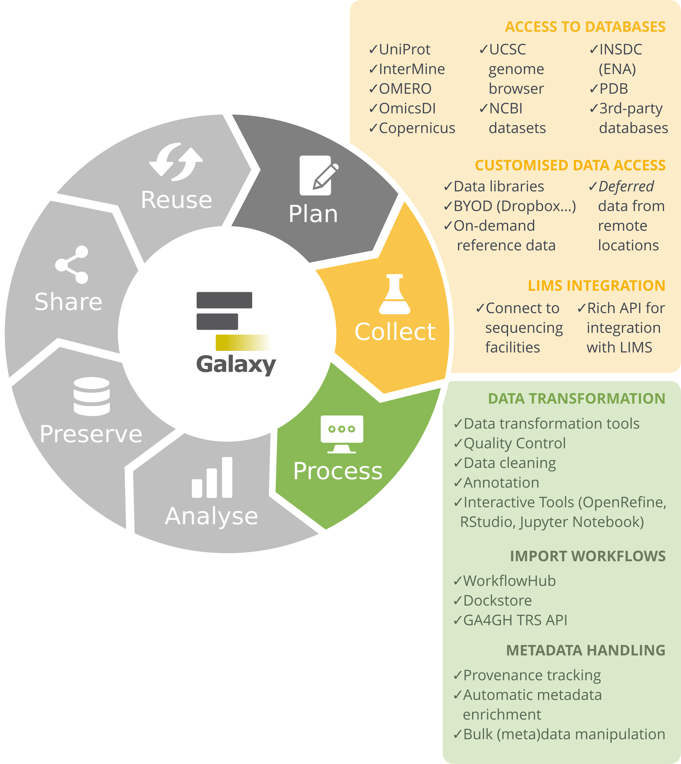 The RDM lifecycle with the process stage highlighted. 