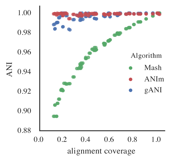 An identical E. coli genome is subset to fractions ranging from 10% - 100% and fractions are compared. When lower amounts of the genome align (due to incompleteness), Mash ANI is severely impacted. Source: <a href='https://drep.readthedocs.io/en/latest/choosing_parameters.html#importance-of-genome-completeness'>dRep documentation</a> This scatter plot compares the Average Nucleotide Identity (ANI) (y-axis) against alignment coverage (x-axis) for three different ANI calculation algorithms: Mash (green dots), ANIm (red dots), and gANI (blue dots). The plot illustrates how ANI values vary with alignment coverage, showing that gANI and ANIm consistently achieve high ANI values (~1.00) even at lower alignment coverage, indicating robust performance across a range of genome completeness. In contrast, Mash exhibits a clear dependency on alignment coverage, with ANI values decreasing significantly as coverage drops below ~0.6, reflecting its sensitivity to genome incompleteness. This highlights the importance of choosing the appropriate ANI algorithm based on the completeness and quality of the genomes being compared.