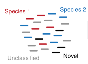 Cartoon of several reads coloured into four groups, Species 1, Species 2, Unclassified, Novel.