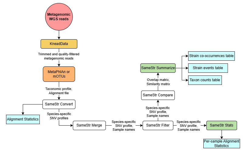 Diagram of the SameStr workflow. 