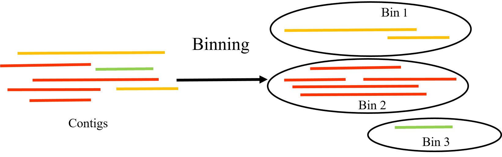 The image illustrates the concept of metagenomic binning, where sequences called contigs are grouped into distinct bins based on their similarities. On the left side, a set of colored contigs (represented as horizontal lines in red, yellow, and green) is shown. An arrow labeled "Binning" points to the right, where these contigs are organized into three separate ovals labeled Bin 1, Bin 2, and Bin 3. Each bin contains contigs of similar colors, indicating that they have been grouped together based on shared characteristics, such as origin or genetic similarity. This process helps in categorizing and analyzing genetic material from complex metagenomic datasets.