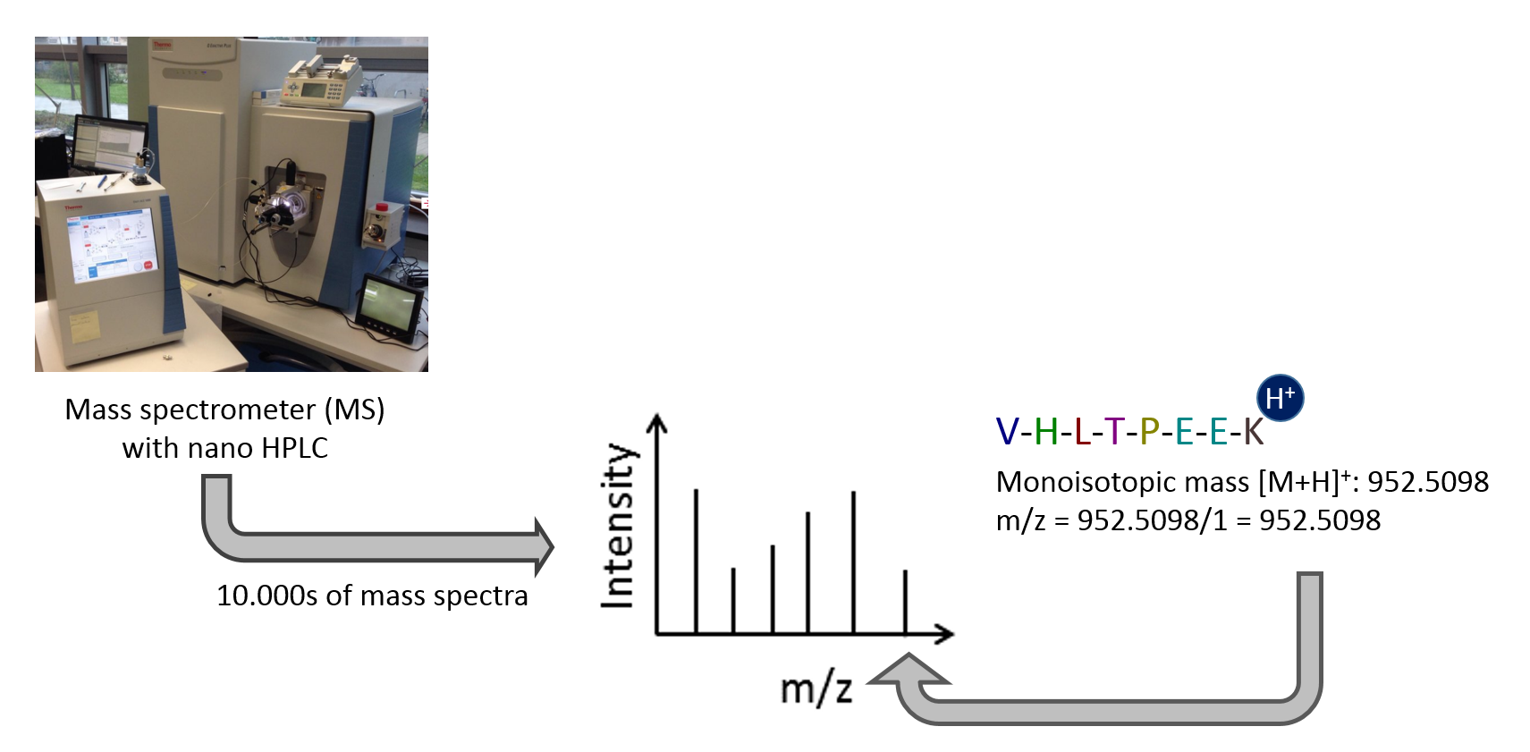 schematic of mass spec with nano hplc producing tens of thousands of mass spectra, these show up as intensity vs m/z plots with skinny peaks.