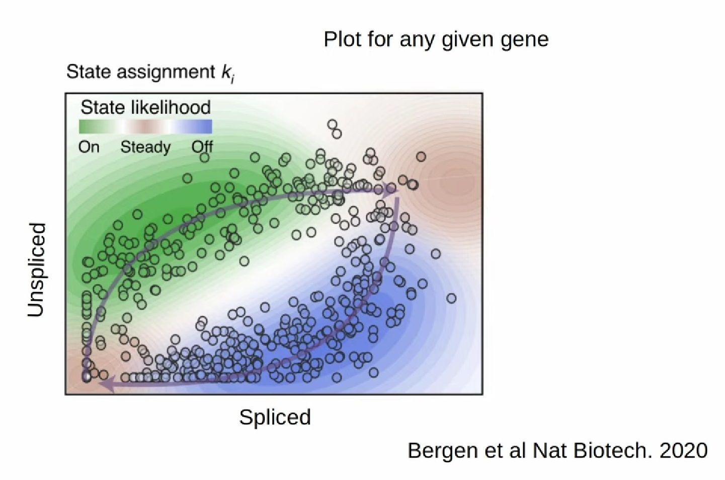 A graph showing unspliced vs spliced reads for any given gene with two plots: one goes like e^x (state likelihood off) and the other one: ln(x) (state likelihood: on)