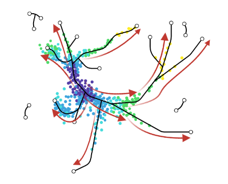 Pseudotime plot with arrows going from root cells towards branches