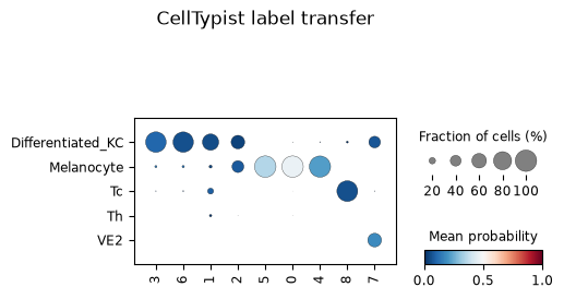 CellTypist dot plot with the nine Leiden groups along the horizontal axis and the five majority-voting labels along the vertical axis, dot size giving the fraction of cells and dot colour the mean prediction probability.
