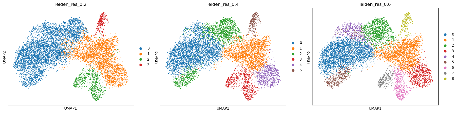Three UMAP panels coloured by Leiden labels at resolutions 0.2, 0.4 and 0.6, showing 4, 6 and 9 groups.