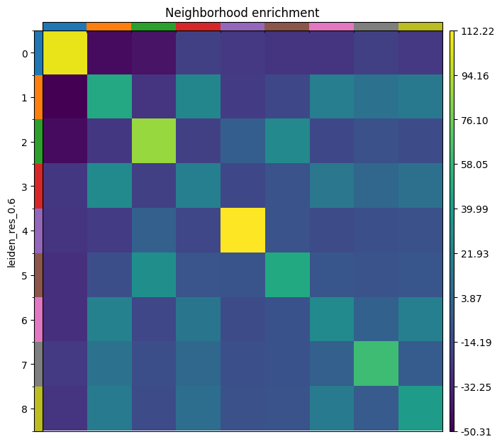 Heatmap of neighbourhood-enrichment z-scores for all pairs of the nine Leiden groups.