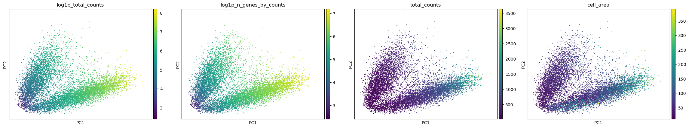 Four PCA panels coloured by log total counts, log detected genes, total counts and cell area.