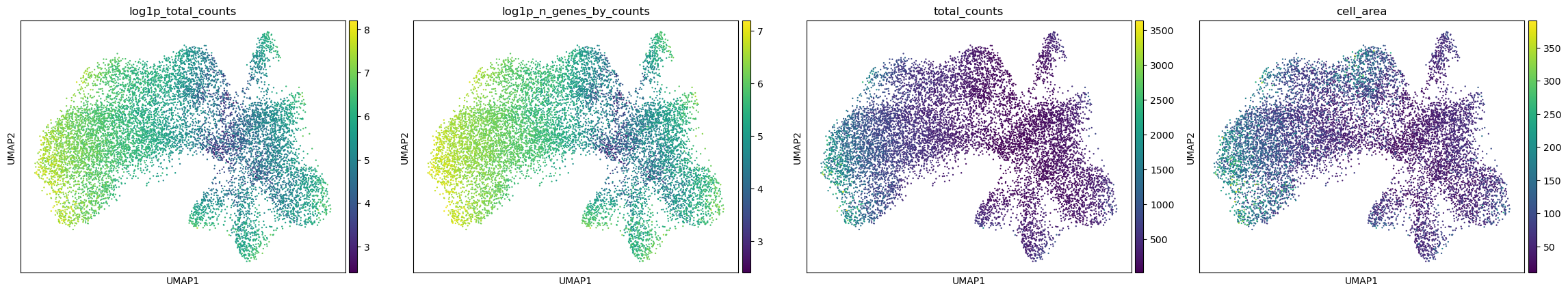 Four UMAP panels coloured by log total counts, log detected genes, total counts and cell area.