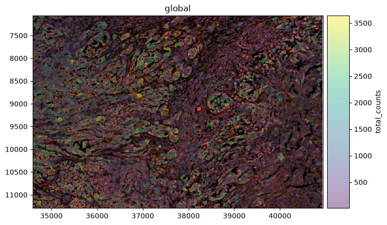 Spatial map of the retained cells coloured by total transcript counts per cell.