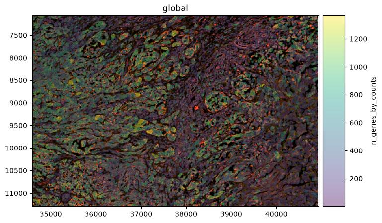 Spatial map of the unfiltered section coloured by the number of detected genes per cell.