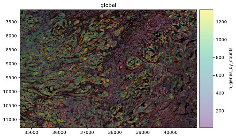 Spatial map of the retained cells coloured by the number of detected genes per cell.