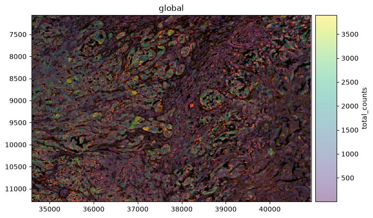 Spatial map of the unfiltered section coloured by total transcript counts per cell.