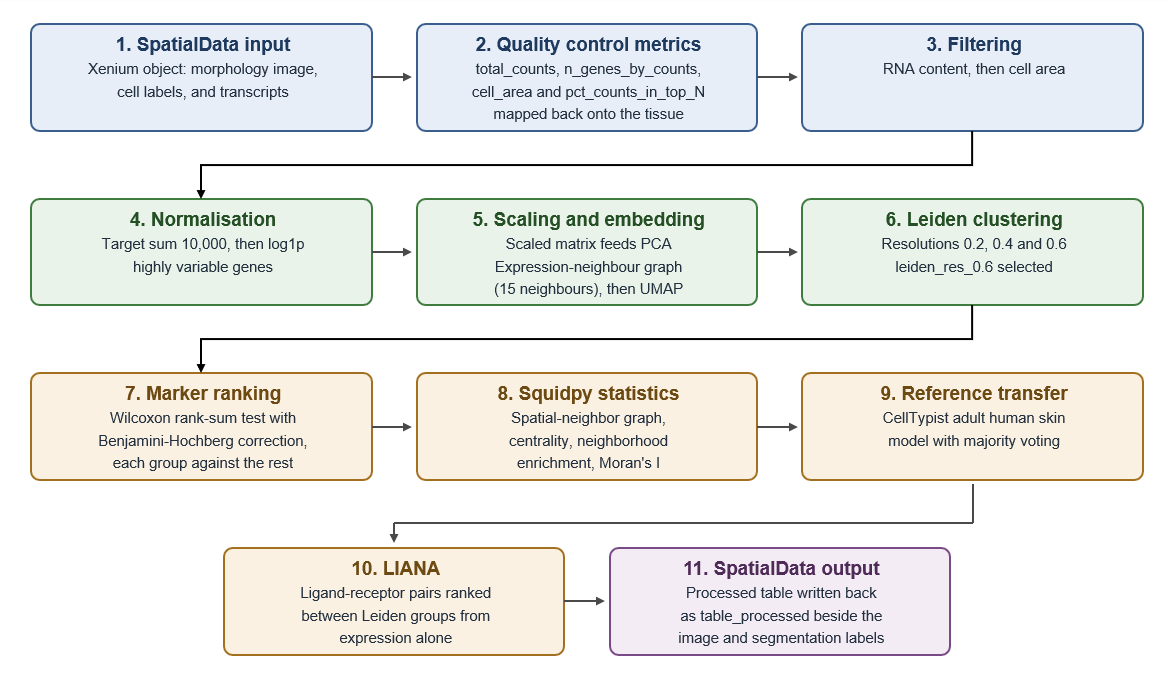 Flow diagram of the analysis stages, from the SpatialData input through quality control, filtering, normalisation, embedding, clustering, marker ranking, spatial statistics, reference transfer and ligand-receptor ranking, to the processed SpatialData output.