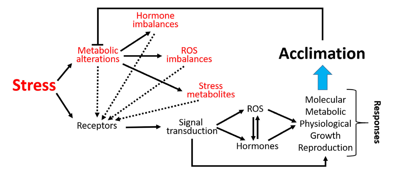 plant response to stress